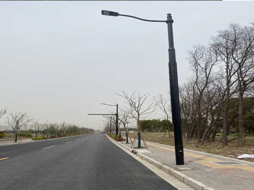 东昌区上海综合杆 太阳能路灯工程